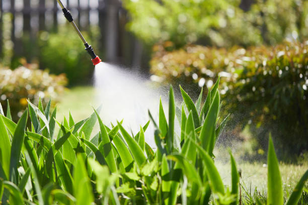 Tamper-Resistant Bait Stations for Rodents in Francis