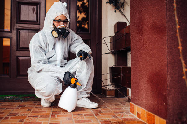 Attic and Crawl Space Rodent Treatment in Francis