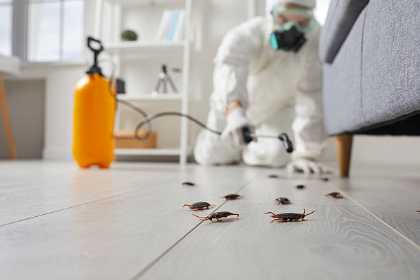 Commercial Rodent Management in Francis